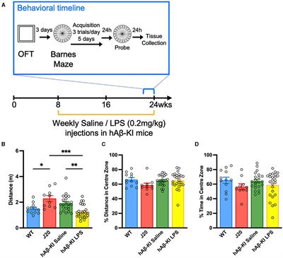 Toward the development of a sporadic model of Alzheimer's disease: comparing pathologies between humanized APP and the familial J20 mouse models